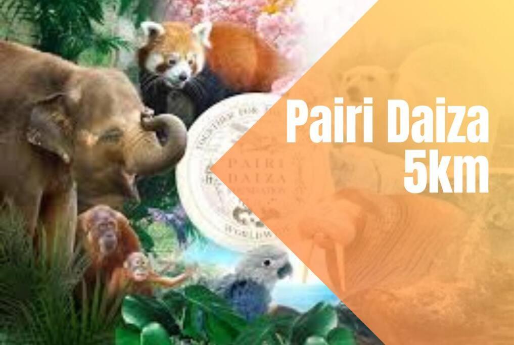 Charmant Logement Brugelette Proche De Pairi Daiza Exterior foto